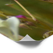 Poster Murmur des Fleurs Sauvages (Coin)