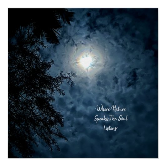 Poster Murmures de la Nature (Devant)
