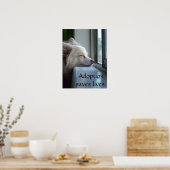 Poster Murray Adopté Pomeranian (Cuisine)