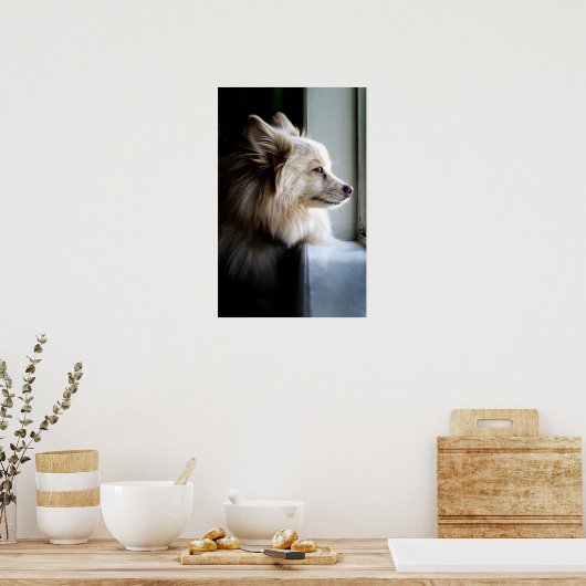 Poster Murray - Pomeranian (Cuisine)