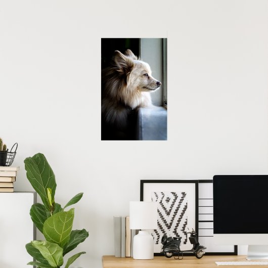 Poster Murray - Pomeranian (Bureau à domicile)