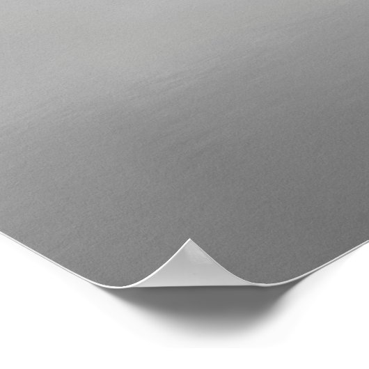 Poster Murrell's Inlet (Coin)