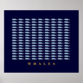Poster murs de décor de baleines bleues (Devant)