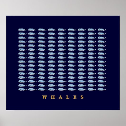 Poster murs de décor de baleines bleues (Devant)