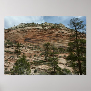 Poster Murs de roche usés dans le parc national de Zion