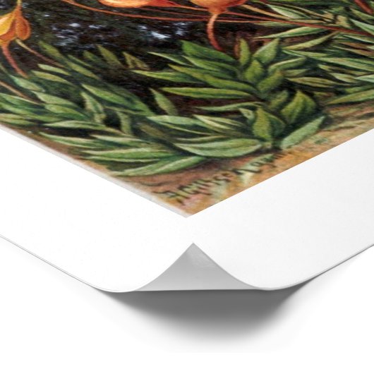 Poster Muscinae (Coin)