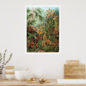 Poster Muscinae (Cuisine)