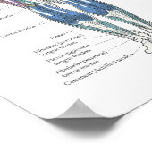 Poster Muscle Anatomy Posterior Anterior (Coin)