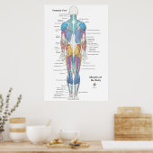 Poster Muscle Anatomy Posterior View (Cuisine)
