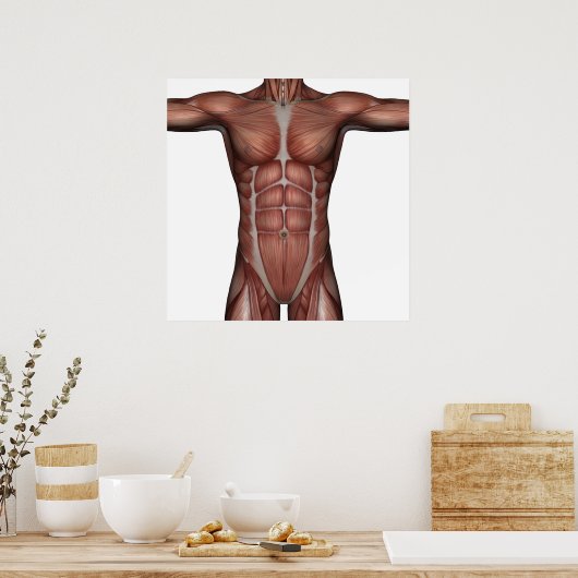 Poster Muscle de l'affiche (Cuisine)