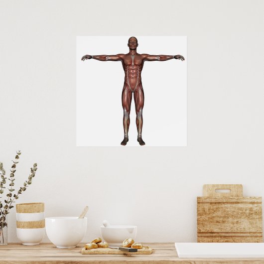 Poster Muscle de l'affiche (Cuisine)