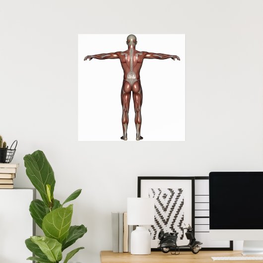 Poster Muscle de l'affiche (Bureau à domicile)