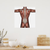 Poster Muscle de l'affiche (Cuisine)