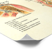 Poster Muscles Anatomie Músculos Anatomie Graphique espag (Coin)