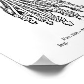 Poster Muscles anatomiques humains vintages de la jambe e (Coin)