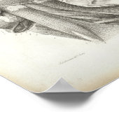 Poster Muscles d'épaules antiquaires Imprimer Médicale (Coin)