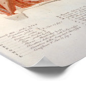 Poster Muscles du cou Anatomie du crâne Imprimer Français (Coin)