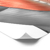 Poster Muscles Du Dos Et Du Cou (Coin)