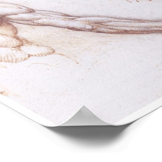 Poster Muscles du dos, Léonard de Vinci (Coin)