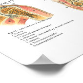 Poster Muscles et Articulations Anatomie Graphique (Coin)