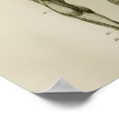 Poster Muscles humains Anatomie Vintage postérieure Impri (Coin)