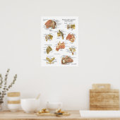 Poster Muscles Ligaments de l'Anatomie de l'épaule (Cuisine)