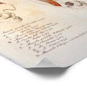 Poster Muscles profonds Anatomie de l'abdomen de la poitr (Coin)