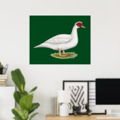 Poster Muscovy blanc de canard (Bureau à domicile)