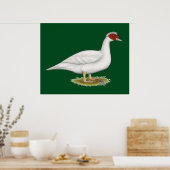 Poster Muscovy blanc de canard (Cuisine)