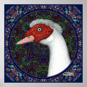 Poster Muscovy Duck Head