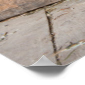 Poster Musée des Agriculteurs. Citrouille en grange avec (Coin)