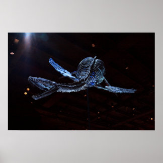 Poster Musée des sciences naturelles de Houston