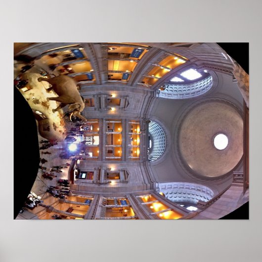 Poster Musée d'histoire naturelle (Devant)