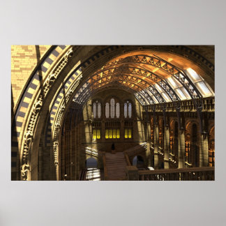 Poster Musée d'histoire naturelle