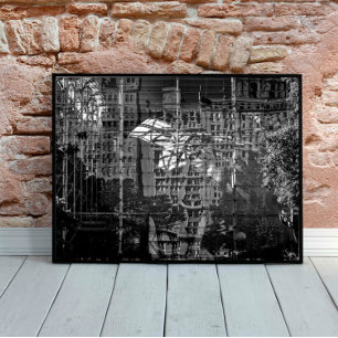 Poster Musée D'Histoire Naturelle De New York