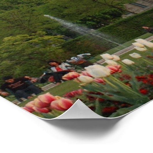 Poster Musée du Louvre (Coin)