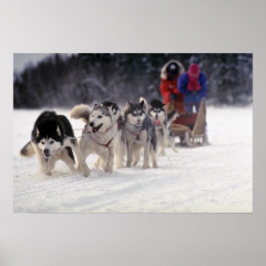 Poster Mush (Devant)