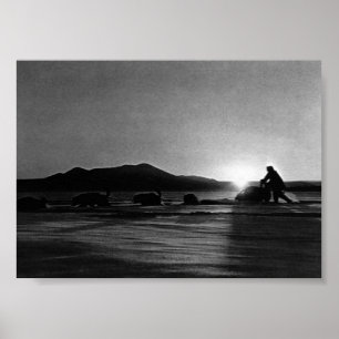 Poster Mushing sous le soleil de minuit Vintage USA Alask