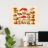 Poster Mushrooms de la variety rouge (Bureau à domicile)