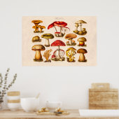 Poster Mushrooms de la variety rouge (Cuisine)