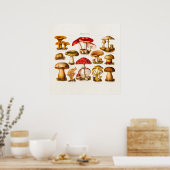 Poster Mushrooms de la variety rouge (Cuisine)