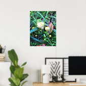 Poster Mushrooms de l'Oregon (Bureau à domicile)