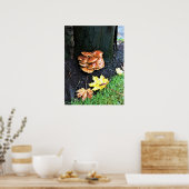 Poster Mushrooms on a tree, Oregon (Cuisine)