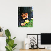 Poster Mushrooms on a tree, Oregon (Bureau à domicile)
