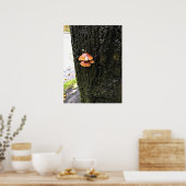 Poster Mushrooms on a tree, Oregon (Cuisine)
