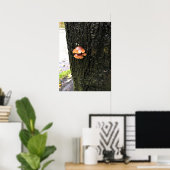 Poster Mushrooms on a tree, Oregon (Bureau à domicile)