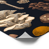 Poster Mushrooms sauvages (Coin)