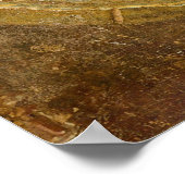 Poster Musicien romain (Coin)