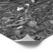 Poster Musiciens de rue du Tennessee, 1935 (Coin)