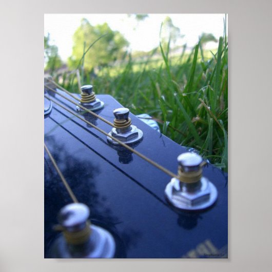 Poster Musique dans la nature (Devant)